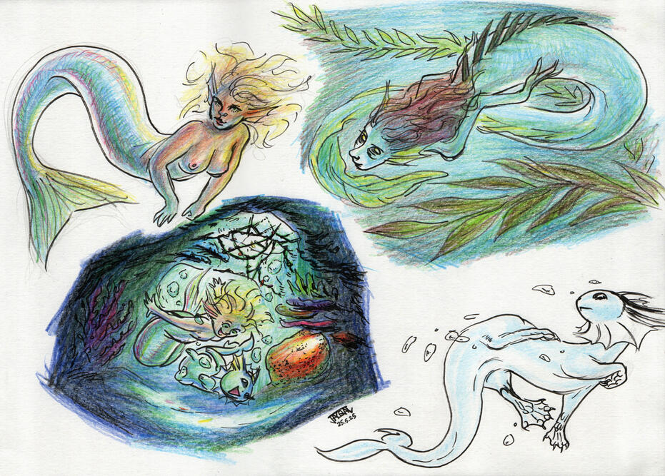 Aquatics (brush pen, colour pencils)