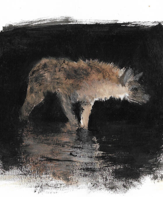 Hyena, 2024 (gouache)